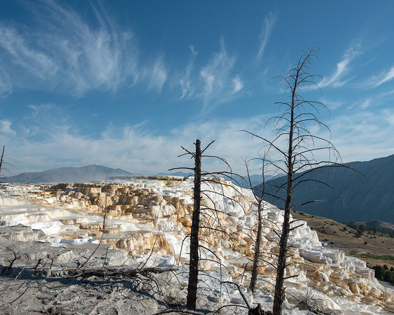 アビス・プール